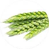 Shriram Farm Solutions Crop Product